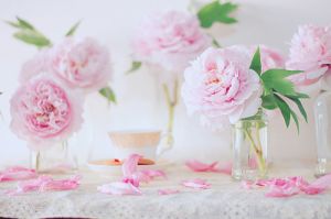 Photos of vases - pink flowers in glass vases.jpg